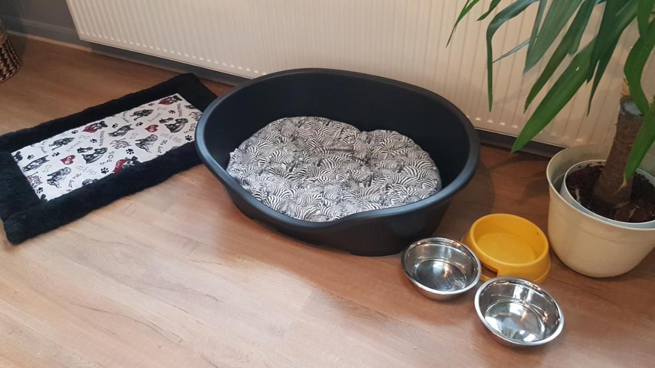 Nature, Charme, Confort, Avec Netflix Et Ps4 Lutzelbourg Esterno foto